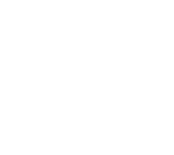 Svatební videa